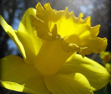 and you’ve only…begun to shine