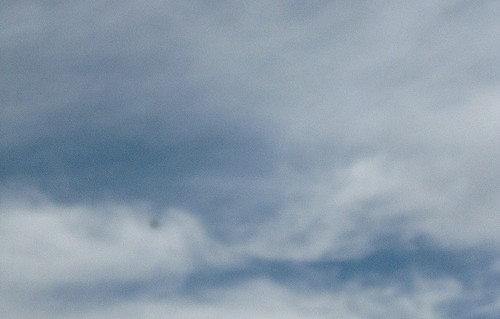 i am a continuance of blue sky…