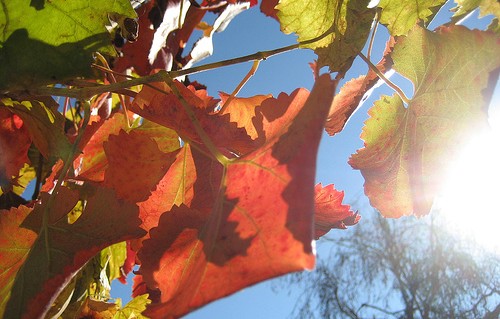 all the world’s a sunny day…
